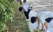 做爱视频
北校区61期团校实践活动